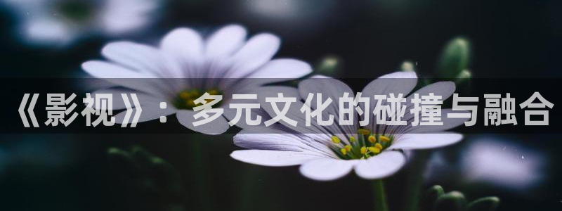 金桔柠檬汁视频：《影视》：多元文化的碰撞与融合