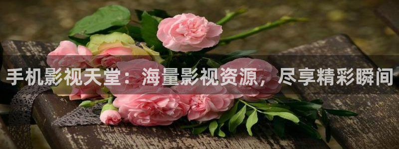 金桔tv：手机影视天堂：海量影视资源，尽享精彩瞬间