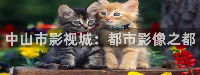 金桔直播免费视频：中山市影视城：都市影像之都