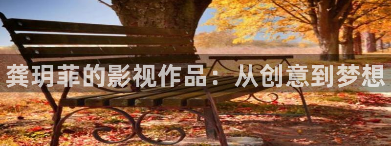 金桔影院：龚玥菲的影视作品：从创意到梦想