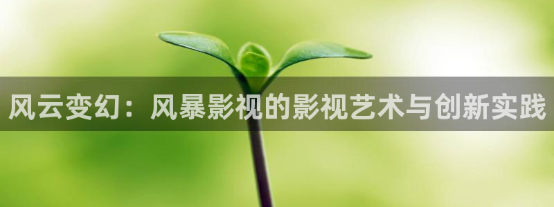 金桔影视网：风云变幻：风暴影视的影视艺术与创新实践
